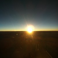 dogTIREDpilot (@1dogtiredpilot) 's Twitter Profile