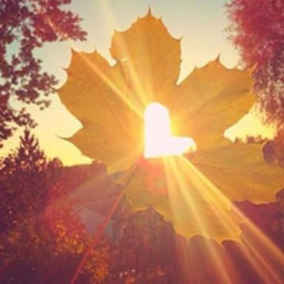 CherieM13488355's profile picture. 