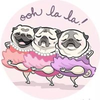 Pugdashians(@Pugdashians) 's Twitter Profileg