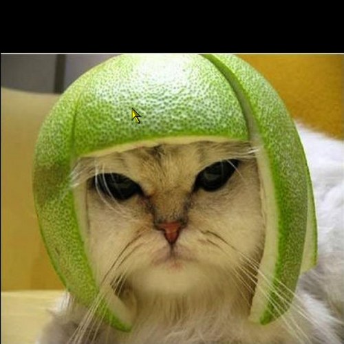 rfaher's profile picture. 