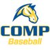 Chicopee Comp Baseball (@CompBaseball) Twitter profile photo