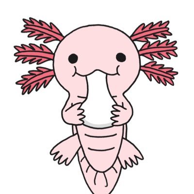 おもちさんのプロフィール画像