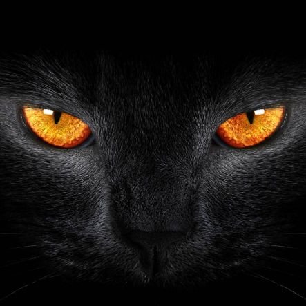 gameid152's profile picture. 