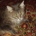 Sergey (@sergey42260179) Twitter profile photo Sergey (@sergey42260179) Twitter profile photo