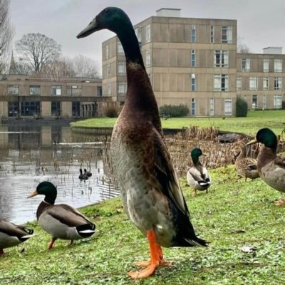 bets_drew's profile picture. #FinsUp 🐬