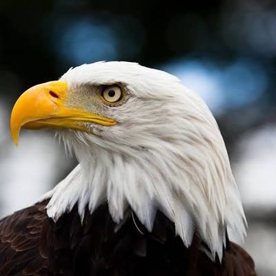 f_learner's profile picture. Profession: Engineer 
Passion: F&O Trader