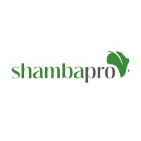 Shambapro(@Shambapro) 's Twitter Profile Photo