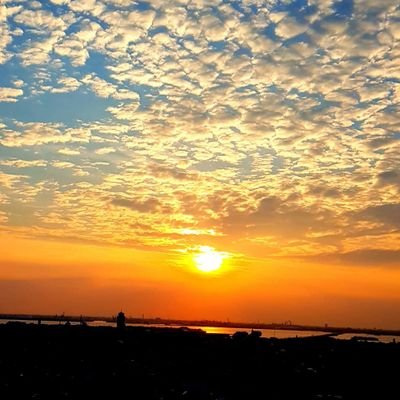 udayparekh's profile picture. 