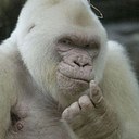 Andy Grice - @AndyGrice79 - Twitter