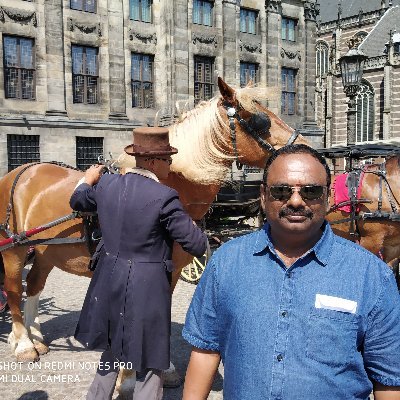 gugeeth's profile picture. Financial consultant