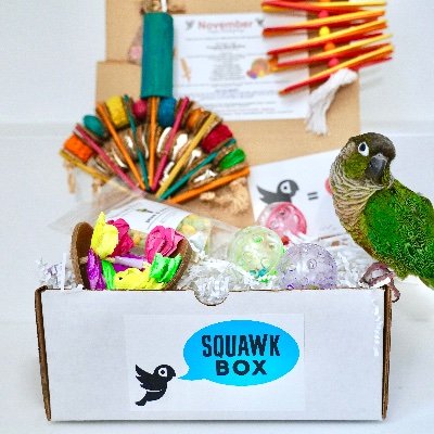 The Original Squawk Box - monthly subscription box for your feathered friend! A portion of proceeds benefit bird rescues. Follow our flock for news + promos. 🦜