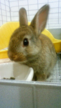 kfujiga's profile picture. 繊維関係の紡績メーカーで商品開発、品質管理、マーケティングの仕事をしています。環境にも人にも優しい商品開発を心がけて取り組んでます。