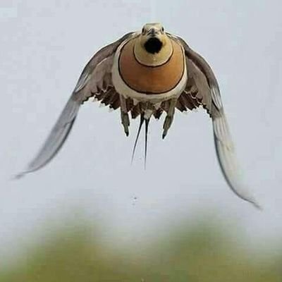 sslk777's profile picture. ‏‏‏سوف يأتي يوم لا أكون معكم !!  وسوف تدخلون لتقرأوا ما كتبت، فإن وجدتم ما يؤجرني أنشروه، وإن وجدتم ما يؤثمني فأستغفرو لي و أتركوه ♡