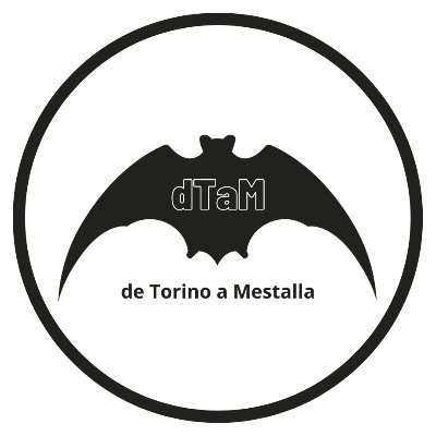 DTAM (De Torino a Mestalla) Profile