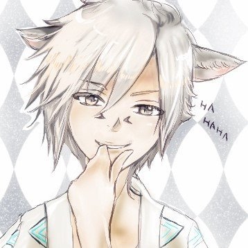 しゅあさんのプロフィール画像