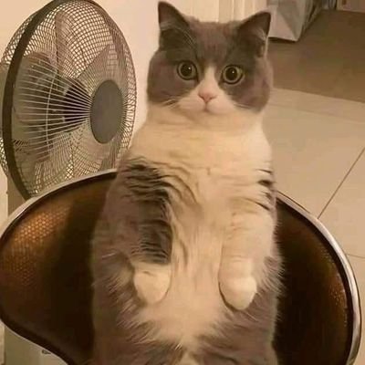 Bitcoim3's profile picture. 