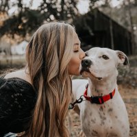 Maddie McFarland (@maddiemcf) 's Twitter Profile