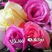 نجمة سدير (@aaasss487) Twitter profile photo نجمة سدير (@aaasss487) Twitter profile photo