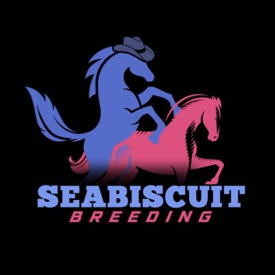 Stable Owner @SeabiscuitTeam / @Zed_Run | @SBStreamNetwork “The Trifecta”