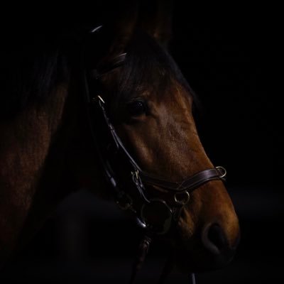 karl gormley Profile