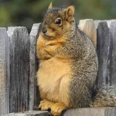 Serenity_Dixon's profile picture. 