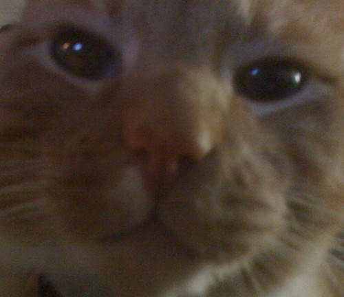 teachgirl1979's profile picture. 