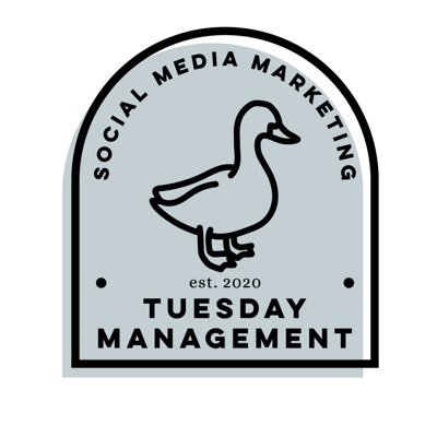 tuesday management