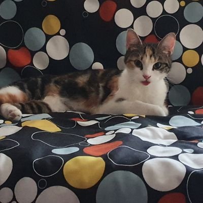 nataliebaines3's profile picture. 