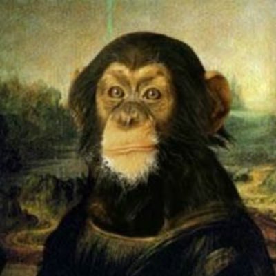 now an account about crypto and monkeys