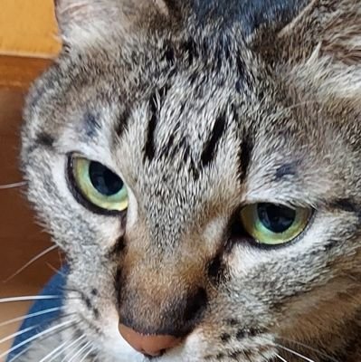 ZB23cRjK3NKJQEg's profile picture. 札幌出身のあべちゃんです😊
宜しくお願いします🙇⤵