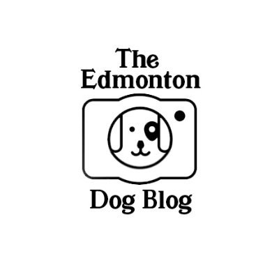 This is not actually a blog. This is a tribute to the dogs of #YEG : A photo documentary, telling the stories of the dogs in Edmonton.
#edmontondogblog