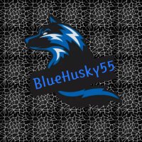 BlueHusky(@BlueHus12976379) 's Twitter Profile Photo