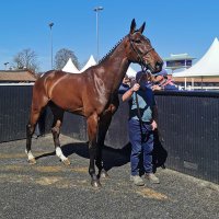 Crossgalesstables (@crossgales_s) Twitter profile photo