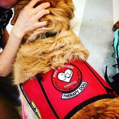 Pets & People offers pet-assisted therapy visits to people who could use some healing joy in their days.