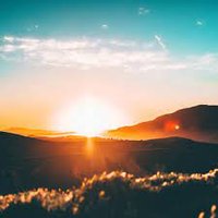 Andrew (@andrew59043141) 's Twitter Profile