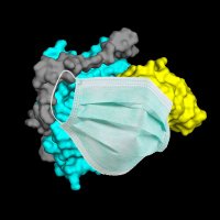 Newton Lab (@newtonlab) 's Twitter Profile