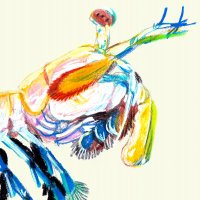 Living Light (@livinglightconf) 's Twitter Profile