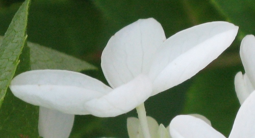 SarahMain_Novel's profile picture. Writer of short stories and fiction from the heart.  Photographer of all things beautiful.