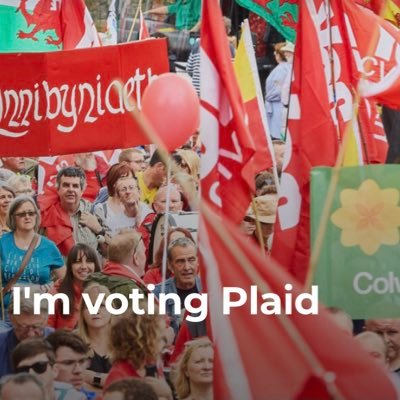 Adran aelodau BME Plaid Cymru // BME members section of Plaid Cymru // [Tachwedd/November 2019]