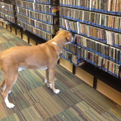 Saturday Mornings 7-10a on 91.3-FM, https://t.co/0lWKSHMI62 & with your smart speaker by telling it “play WYEP”