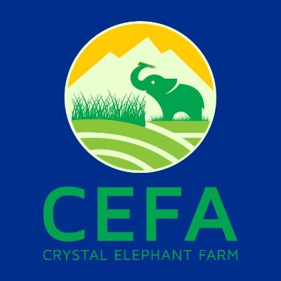 Official Twitter of Crystal Elephant Farm (CEFA). Brought to you by CETO Foundation (B/E/CETO). 1 token, 8 ways to profit. 

The DeFi token that does it ALL.