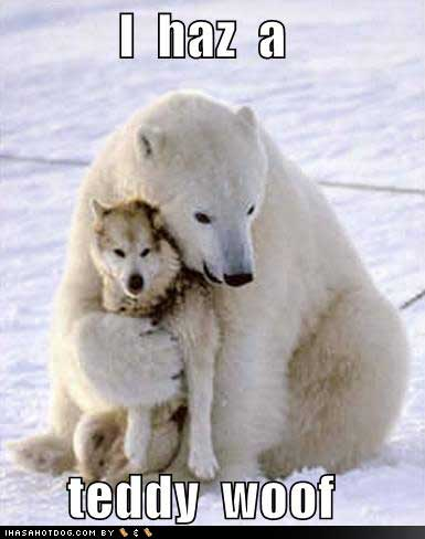 carydur's profile picture. 