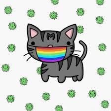 SFschoolmonitor's profile picture. *Not An Official SFUSD Account*
Public data from SFUSD's Covid-19 Dashboard

Current Data is SY 21-22 (archive 4/20-8/15/21)