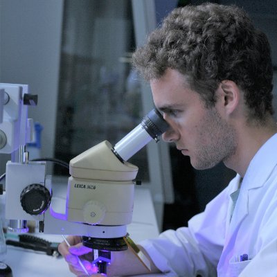 Michael Clark Profile