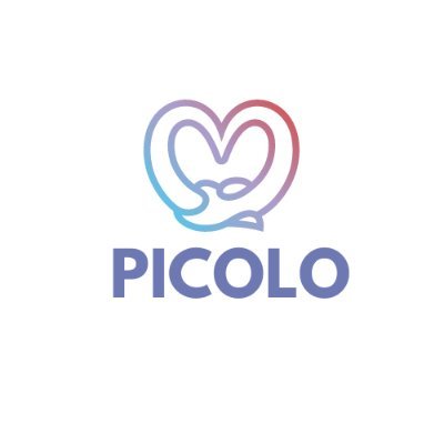 PICOLO_Network