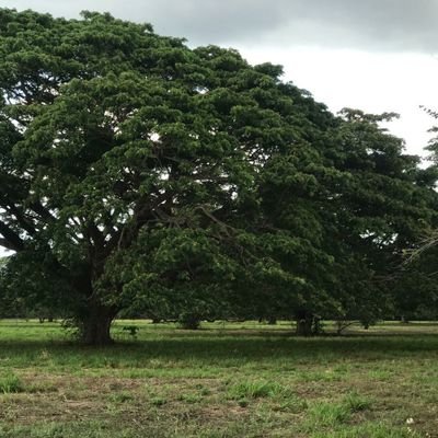 rgalezzo's profile picture. Tecnología para la energía limpia de Barranquilla para el mundo