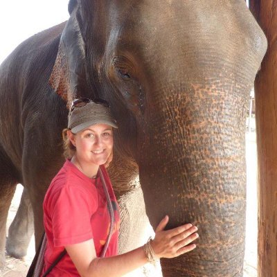 Author, editor and multispecies ethnographer | Forthcoming book - After the Forests: Thailand's Captive Elephants and Their People