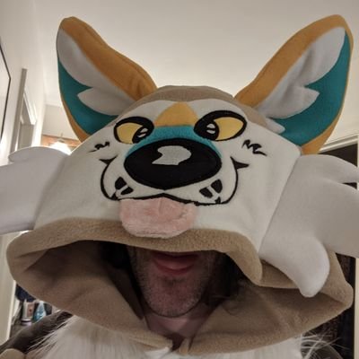 Furry, snowboarder, board gamer, amateur DJ. Fursuit by @corgilegs