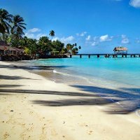 Revelld (@revelld2001) 's Twitter Profile