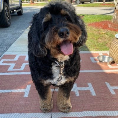 DevSecOps Consultant | Agile Thinker | Delicious Food Addict | Airstream Owner | Bernedoodle Dad